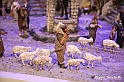VBS_9654 - Presepe Monumentale della Basilicata